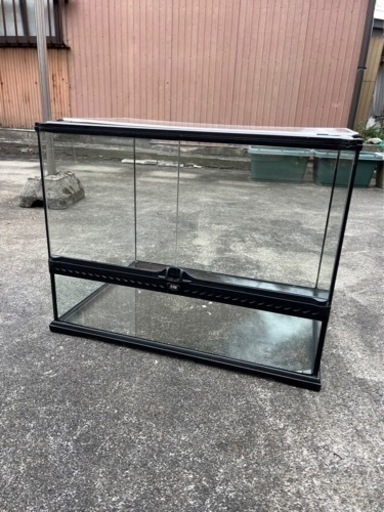 エキゾテラ　グラステラリウム