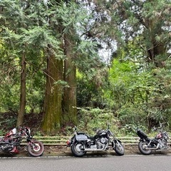 のんびり走ってくれる方募集