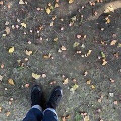 10/23 一緒にウォーキングしましょう❣️😊 - 小松市