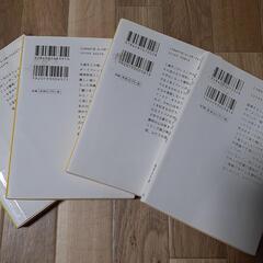 村山由佳さん　小説の画像