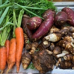 🥔‼️2022終了物価高対策‼️里芋掘り実質0価格以上👨‍👩‍👧...