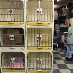 犬舎の中古が安い！激安で譲ります・無料であげます｜ジモティー