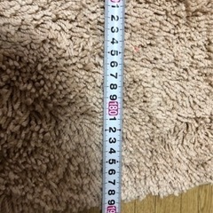 絨毯 ニトリの画像