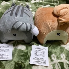 ＊ボンレス犬とボンレス猫 ぬいぐるみ＊【話し合い中】の画像