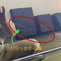 【お試しキャンペーン！】お車のDIY補修の前にプロによる研磨で傷...