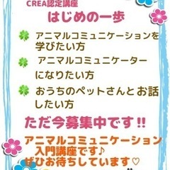 アニマルコミュニケーション入門講座【初めの一歩】