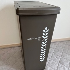 スライドペール ゴミ箱 45L
