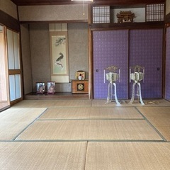 畳　京間　本間　欲しい方
