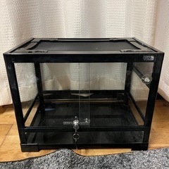 爬虫類ケージ2個即育成セット限定土日プレゼントの画像