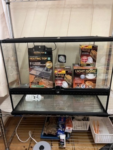 爬虫類ケージ2個即育成セット限定土日プレゼント