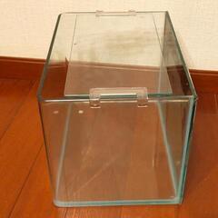 31×22×22cm水槽の画像