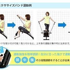【¥1500】BODY ACTION　マルチコンパクトジムの画像