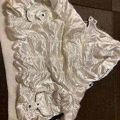 レディースジャンパーの画像