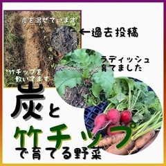 ⭐農業・家庭菜園用の炭&竹チップ⭐　50リットルで1500円(炭)　750円(竹チップ) 　※竹チップ販売再開しました‼️の画像