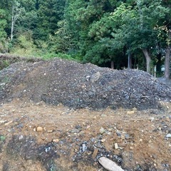 [引き取り限定] 土