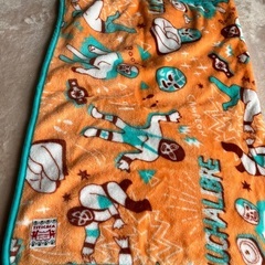 チチカカ膝掛けの画像