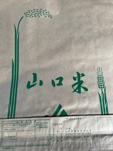 令和4年度　新米　コシヒカリ