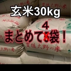 【売却済】豊後大野市産ヒノヒカリ　玄米30kg 4袋　