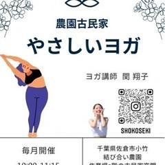 佐倉市でヨガしませんか？初めての方も大歓迎！