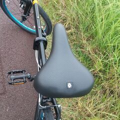 ルノー  LIGHT10 AL-FDB207 20インチ 折りたたみ自転車 BLACK