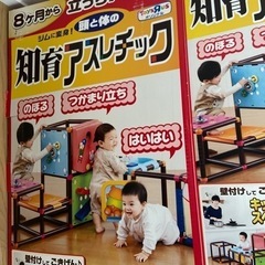 ジャングルジム