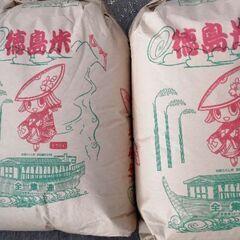 令和5年産】ライスフレンド 徳島県産 コシヒカリ 30kg(5kg×6袋
