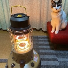 トヨトミ　レインボー　ストーブ　ギアミッション　コヨーテブラウン...