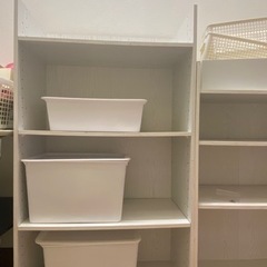 ニトリ　からーボックス　ワイルド