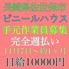 長崎県佐世保市にてビニールハウス設置手元作業員募集