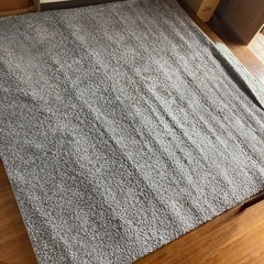 ニトリ カーペット 