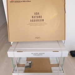 お値下げしました‼️水槽セット【水草水槽始めるのにピッタリ！】