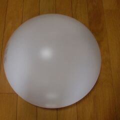 天井照明シーリングライト（内玄関用）の画像