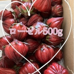 ハイビスカスローゼル500gとゆず5個セットの画像