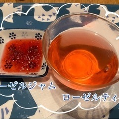 ハイビスカスローゼル500gとゆず5個セットの画像