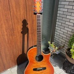 MORRIS　CT601　泉谷しげるモデル