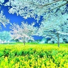 写真グループメンバー募集中です