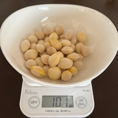 2023年度 銀杏100ｇ