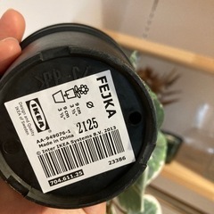 IKEAイケア　フェイクグリーン　ポポラスユーカリの画像