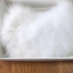 フェザーショール　成人式　パーティー