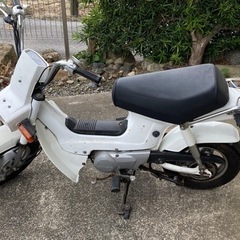実働　ホンダシャリー50　〜引き取り限定〜