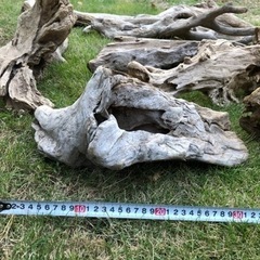 (お取引中) 流木　まとめて　10本の画像