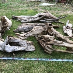 (お取引中) 流木　まとめて　10本の画像