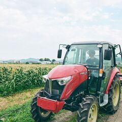 農業をカッコよく！！ ★モテる会社★　【ロックファーム京都_久御山農場】　一緒にワクワク楽しいことを仕掛けていきましょう！！の画像