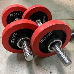 irotec 筋トレ 合計35kg ラバー付 重り アイロテック 室内 トレーニングの画像
