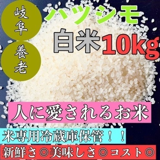 岐阜ハツシモ　新米・古米　5kg〜OK 玄米・白米選択可