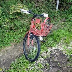 子供用自転車　22インチ　ブリヂストン　ビッケの画像