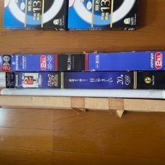 電灯•電球  LEDあります！の画像