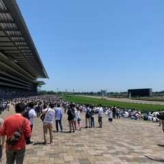 競馬観戦！競馬場に行きませんか〜