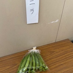 大人になってからのお友達♡