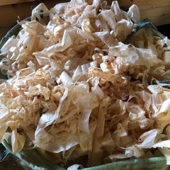 ヒノキ　スギ　おが屑　カンナ屑